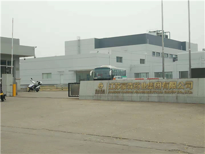 江蘇豪森藥業(yè)