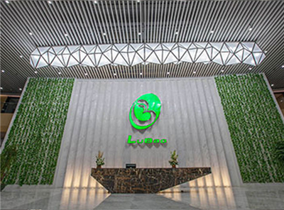 福建綠寶食品集團(tuán)