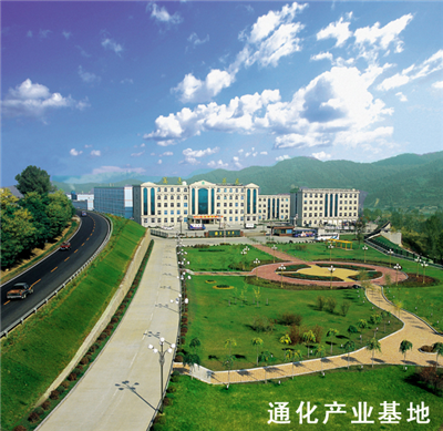 通化萬(wàn)通藥業(yè)股份