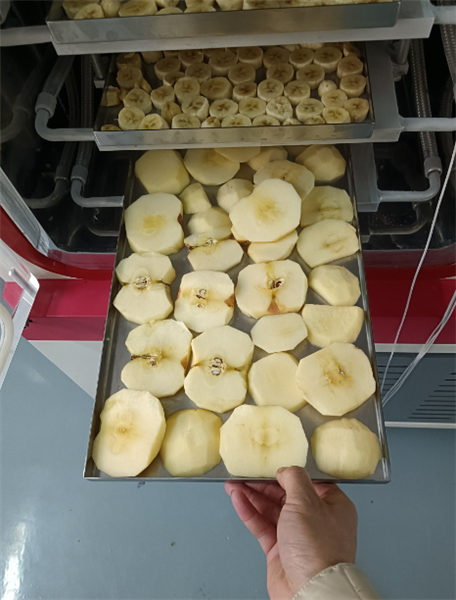 使用化妝品凍干機(jī)對(duì)面膜進(jìn)行凍干具體有哪些步驟？