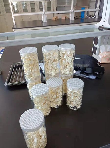 揭秘：低溫冷凍干燥機如此受歡迎的原因