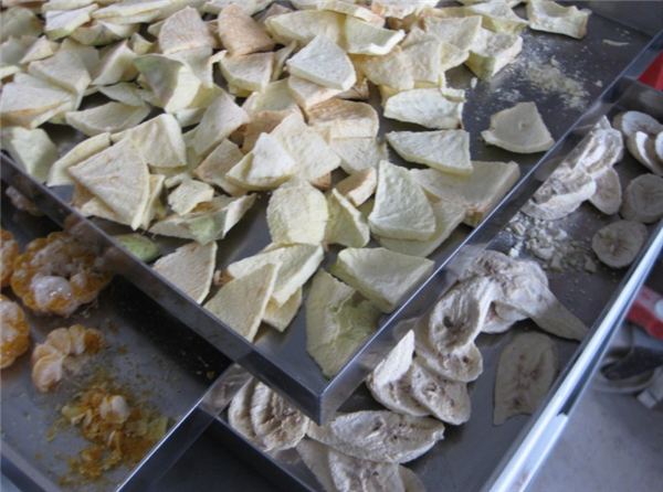 分享影響臺(tái)式冷凍干燥機(jī)凍干效果的幾個(gè)關(guān)鍵因素