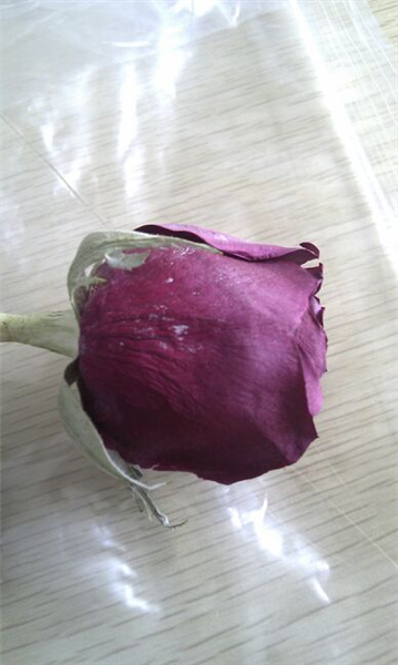 小型真空冷凍干燥機的組成結構及其優(yōu)勢