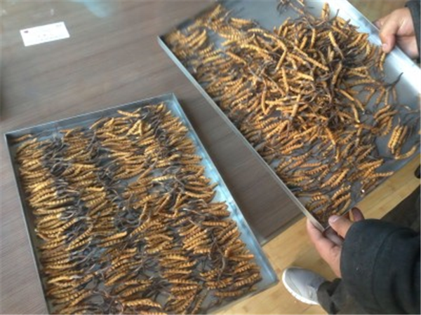 制藥凍干機(jī)中的加熱系統(tǒng)的作用是什么？