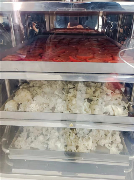 淺析真空回轉(zhuǎn)干燥器