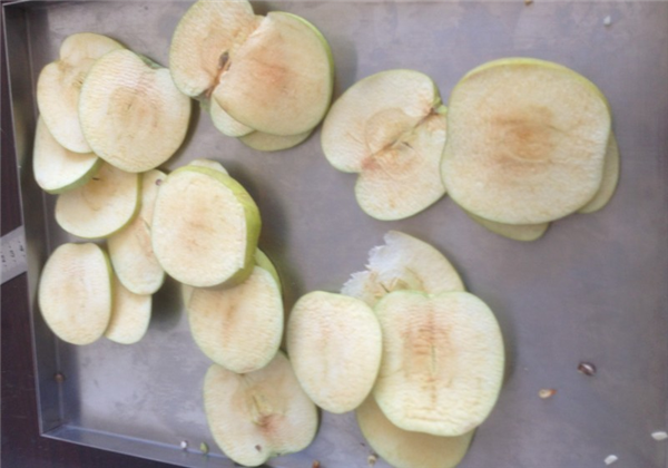 教新手快速了解凍干機