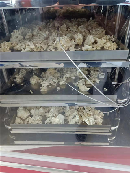 真空冷凍干燥機的優(yōu)點和使用注意事項介紹