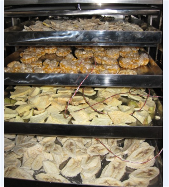 冷凍干燥機(jī)在食品凍干加工中需要注意哪些細(xì)節(jié)？