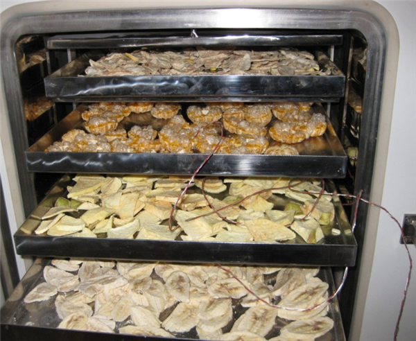 如何正確設(shè)定冷凍干燥機(jī)的冷阱溫度？