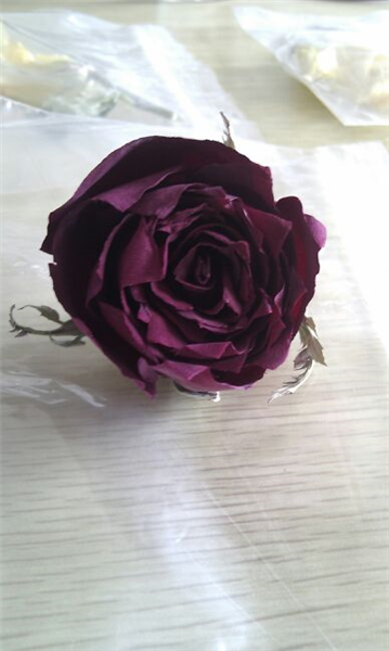 什么原因會導(dǎo)致冷凍干燥機(jī)溫度回升？