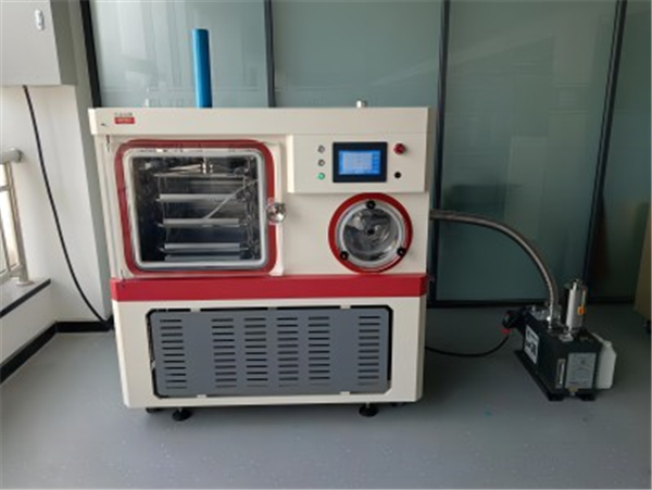 微生物研究中土壤凍干機的作用：確保樣本原貌的保存