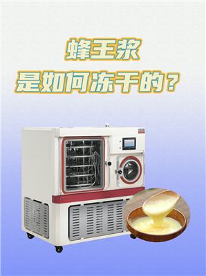 蜂王漿凍干