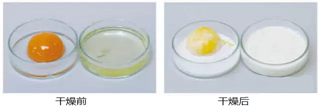 461450747843239690.png 461450747843239690.png